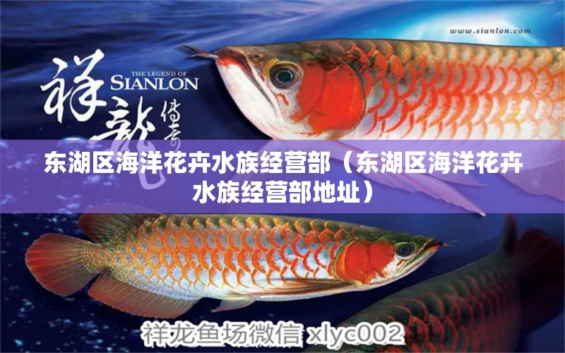 东湖区海洋花卉水族经营部（东湖区海洋花卉水族经营部地址） 全国水族馆企业名录