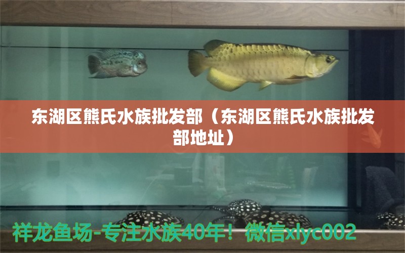 东湖区熊氏水族批发部（东湖区熊氏水族批发部地址） 全国水族馆企业名录