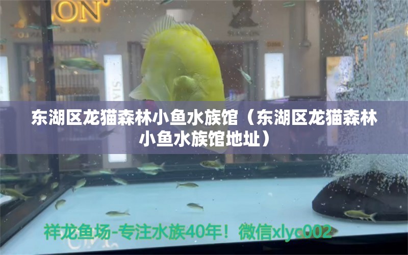 东湖区龙猫森林小鱼水族馆（东湖区龙猫森林小鱼水族馆地址） 全国水族馆企业名录