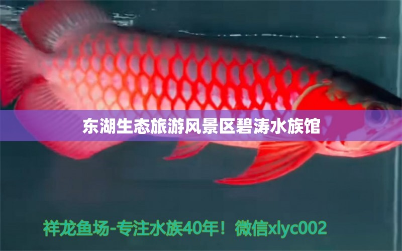 东湖生态旅游风景区碧涛水族馆