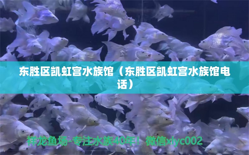 东胜区凯虹宫水族馆（东胜区凯虹宫水族馆电话） 全国水族馆企业名录