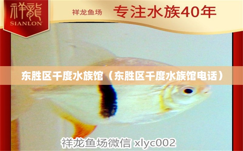 东胜区千度水族馆（东胜区千度水族馆电话）