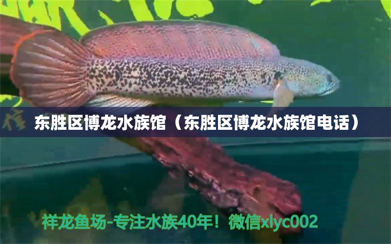 东胜区博龙水族馆（东胜区博龙水族馆电话）