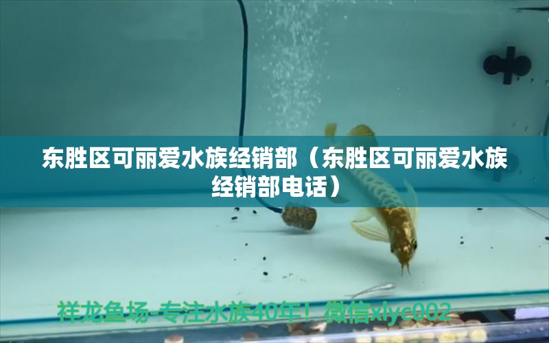 东胜区可丽爱水族经销部（东胜区可丽爱水族经销部电话） 全国水族馆企业名录