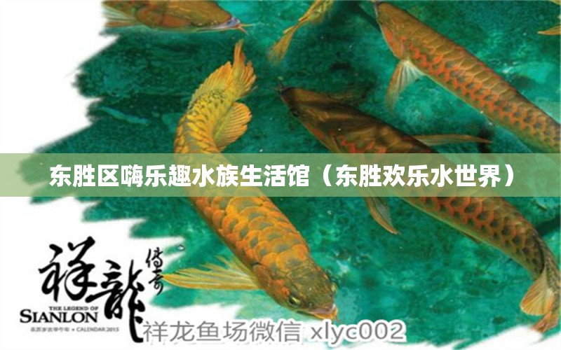 东胜区嗨乐趣水族生活馆（东胜欢乐水世界）