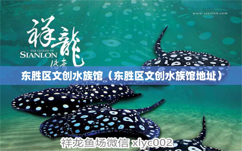 东胜区文创水族馆（东胜区文创水族馆地址） 全国水族馆企业名录