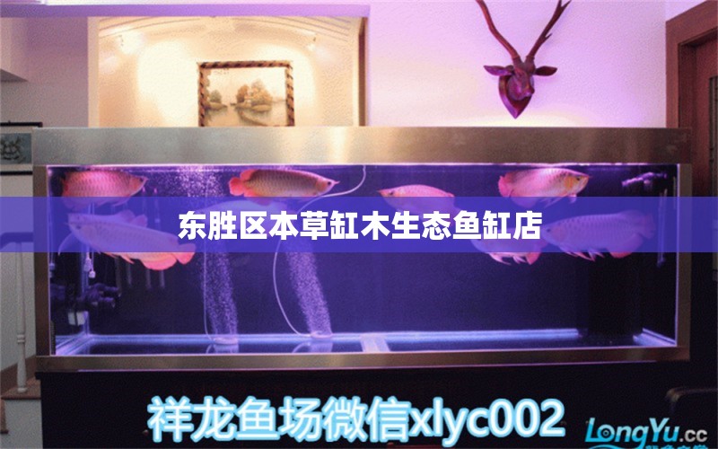 东胜区本草缸木生态鱼缸店 全国水族馆企业名录