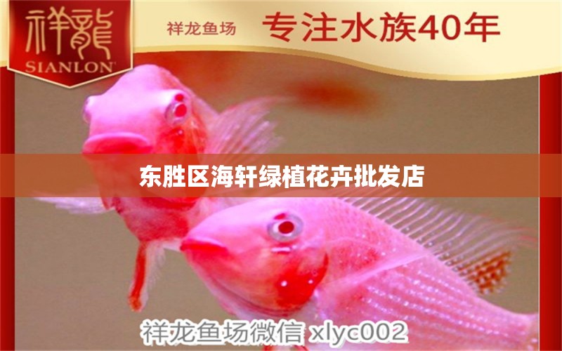 东胜区海轩绿植花卉批发店 全国水族馆企业名录