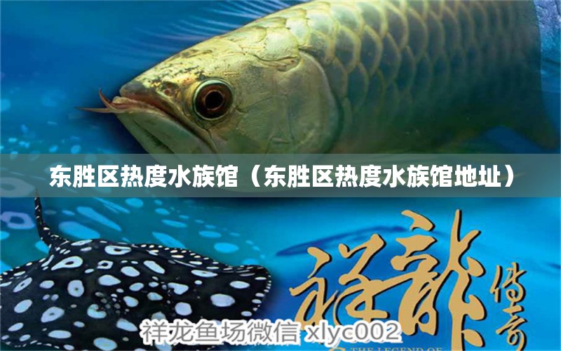 东胜区热度水族馆（东胜区热度水族馆地址）