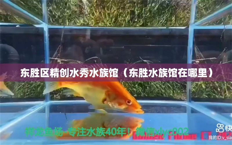 东胜区精创水秀水族馆（东胜水族馆在哪里） 全国水族馆企业名录