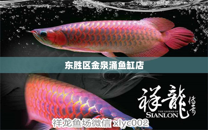 东胜区金泉涌鱼缸店 全国水族馆企业名录