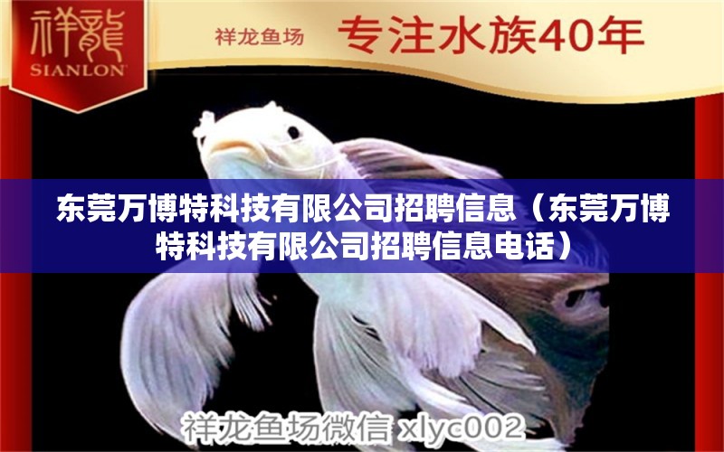 东莞万博特科技有限公司招聘信息（东莞万博特科技有限公司招聘信息电话）