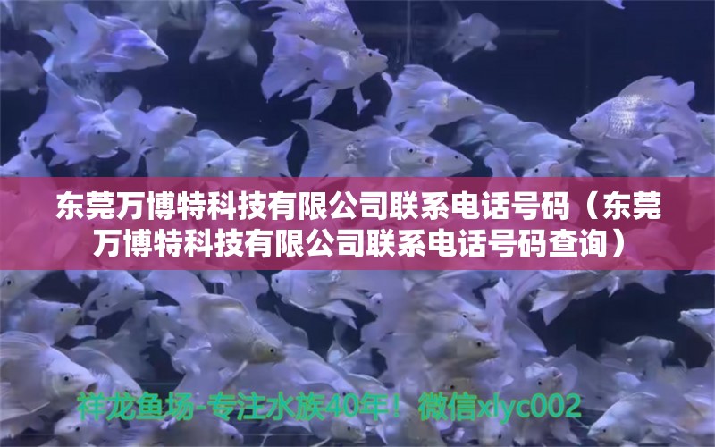 东莞万博特科技有限公司联系电话号码（东莞万博特科技有限公司联系电话号码查询）