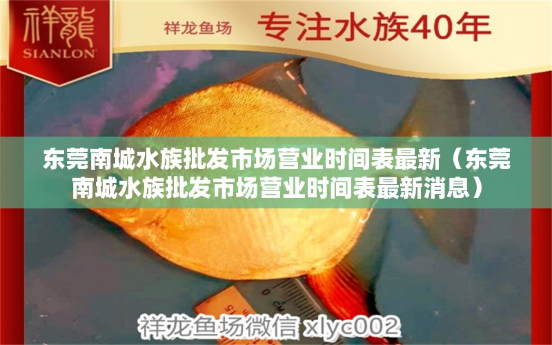 东莞南城水族批发市场营业时间表最新（东莞南城水族批发市场营业时间表最新消息） 观赏鱼水族批发市场