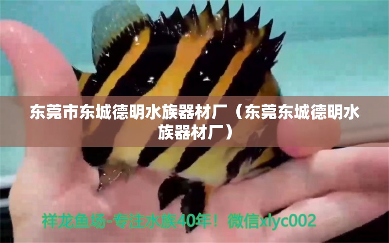 东莞市东城德明水族器材厂（东莞东城德明水族器材厂） 全国观赏鱼市场 第2张