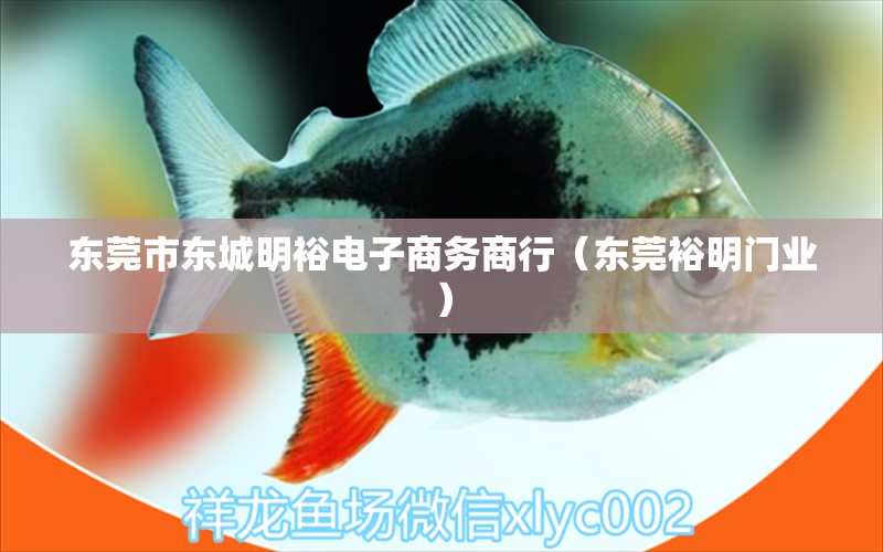 东莞市东城明裕电子商务商行（东莞裕明门业） 全国水族馆企业名录