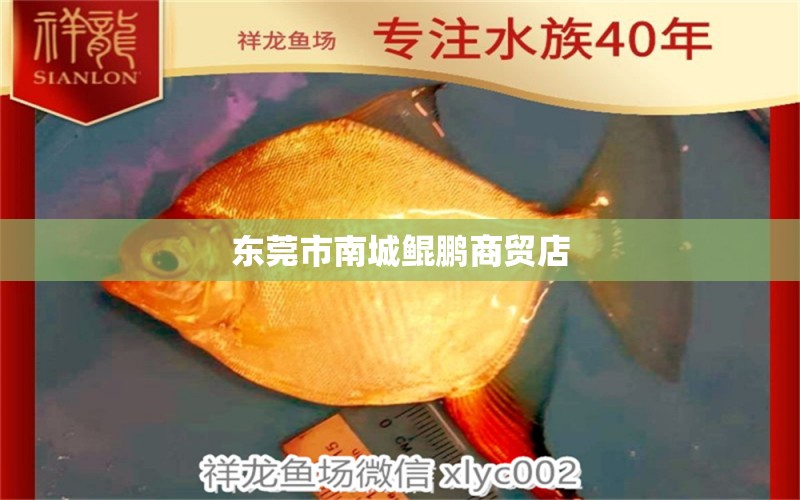 东莞市南城鲲鹏商贸店 全国水族馆企业名录