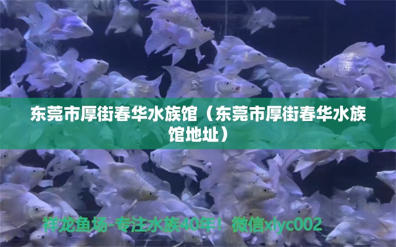 东莞市厚街春华水族馆（东莞市厚街春华水族馆地址） 全国水族馆企业名录