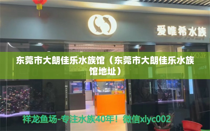 东莞市大朗佳乐水族馆（东莞市大朗佳乐水族馆地址）