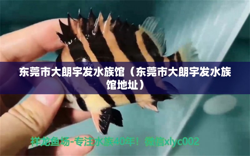 东莞市大朗宇发水族馆（东莞市大朗宇发水族馆地址） 全国水族馆企业名录