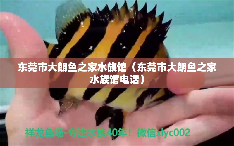 东莞市大朗鱼之家水族馆（东莞市大朗鱼之家水族馆电话） 全国水族馆企业名录