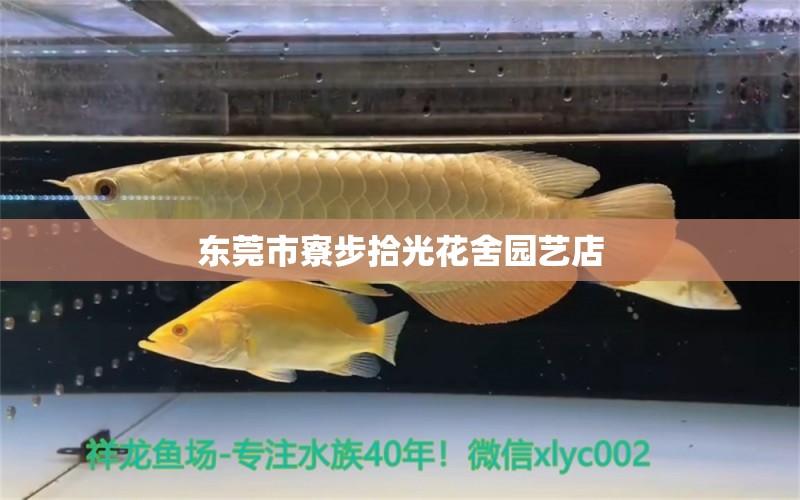 东莞市寮步拾光花舍园艺店 全国水族馆企业名录