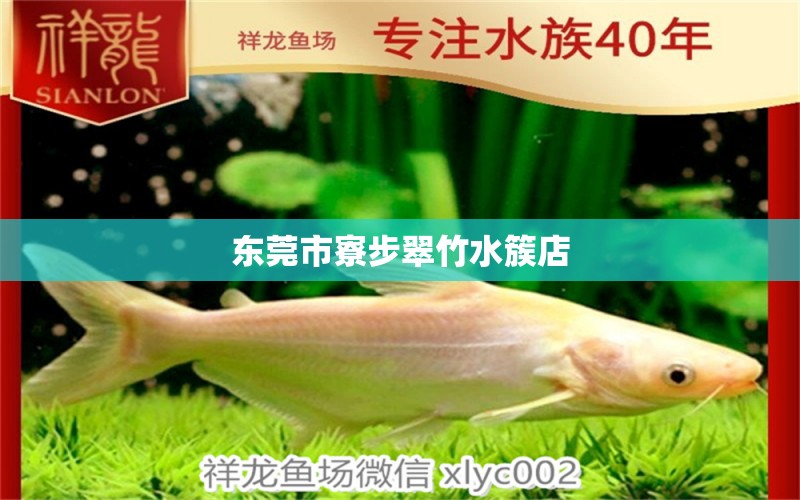 东莞市寮步翠竹水簇店 全国水族馆企业名录