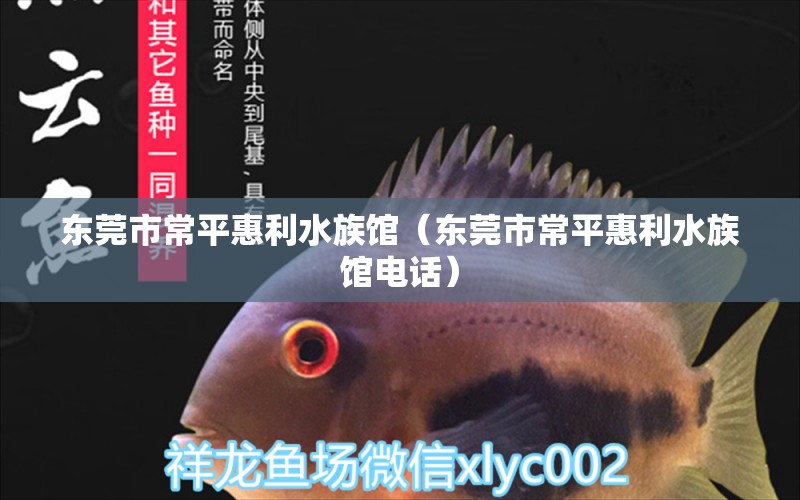 东莞市常平惠利水族馆（东莞市常平惠利水族馆电话）