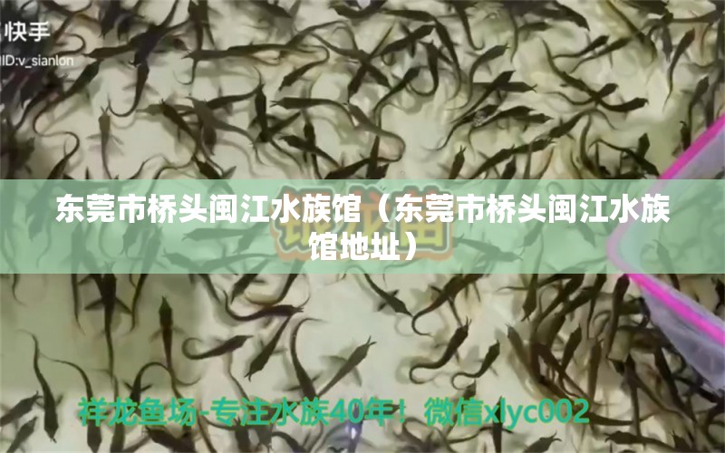 东莞市桥头闽江水族馆（东莞市桥头闽江水族馆地址） 全国水族馆企业名录