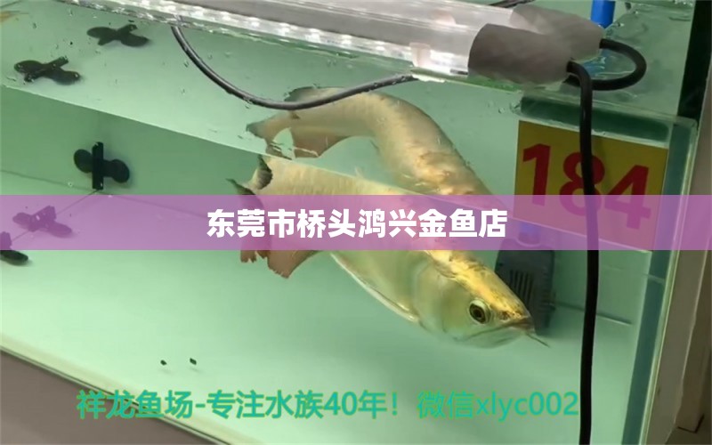 东莞市桥头鸿兴金鱼店 全国水族馆企业名录