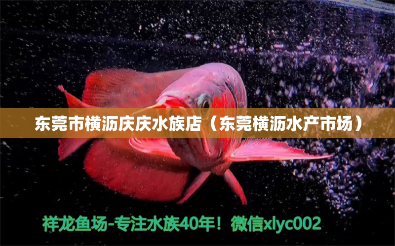 东莞市横沥庆庆水族店（东莞横沥水产市场） 全国水族馆企业名录