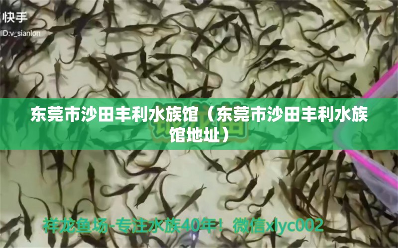 东莞市沙田丰利水族馆（东莞市沙田丰利水族馆地址） 全国水族馆企业名录