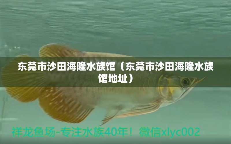 东莞市沙田海隆水族馆（东莞市沙田海隆水族馆地址）