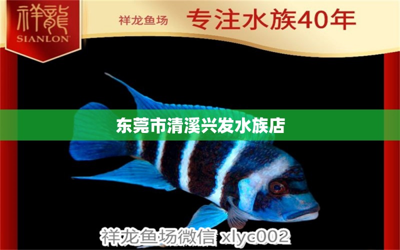 东莞市清溪兴发水族店