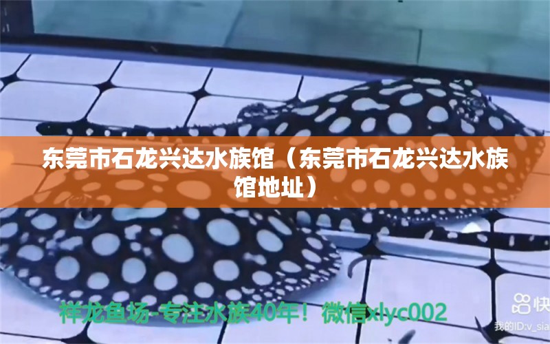 东莞市石龙兴达水族馆（东莞市石龙兴达水族馆地址） 全国水族馆企业名录