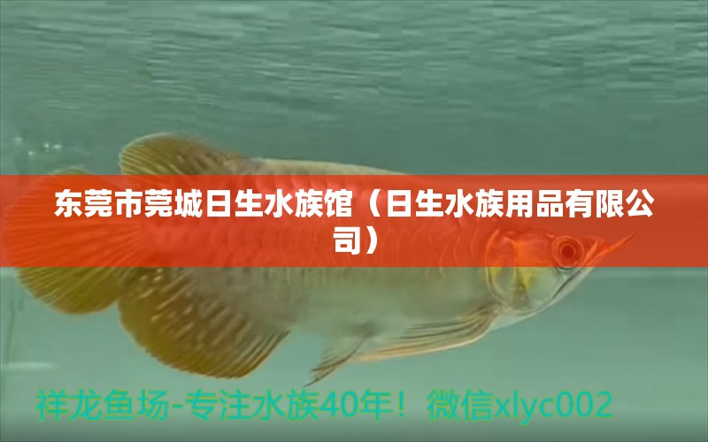 东莞市莞城日生水族馆（日生水族用品有限公司）