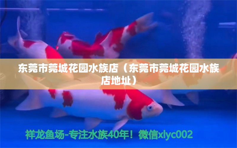 东莞市莞城花园水族店（东莞市莞城花园水族店地址） 全国水族馆企业名录