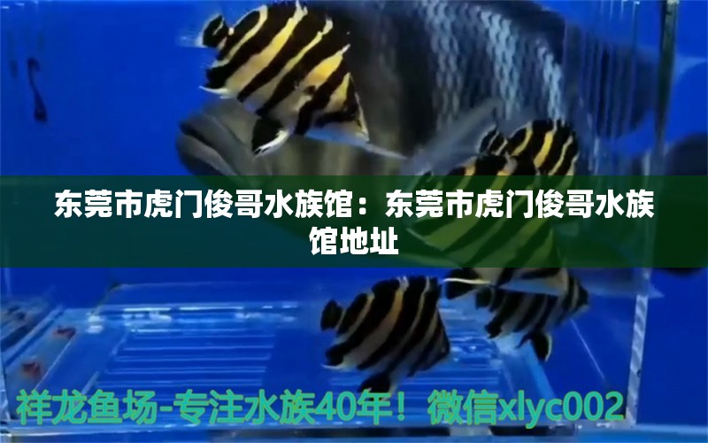 东莞市虎门俊哥水族馆：东莞市虎门俊哥水族馆地址