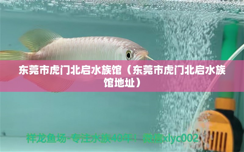 东莞市虎门北启水族馆（东莞市虎门北启水族馆地址）