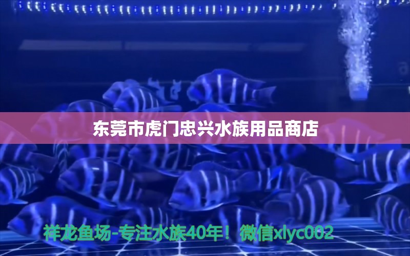 东莞市虎门忠兴水族用品商店 水族用品 第1张