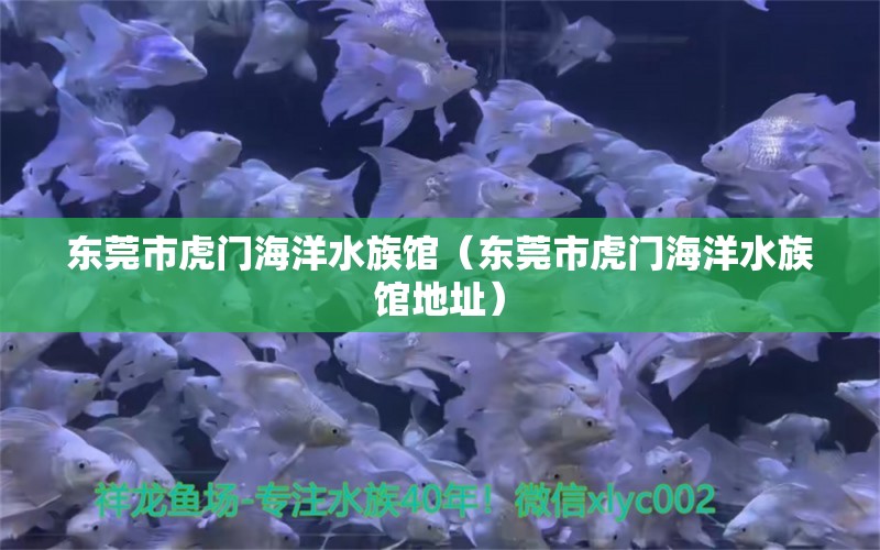 东莞市虎门海洋水族馆（东莞市虎门海洋水族馆地址） 全国水族馆企业名录