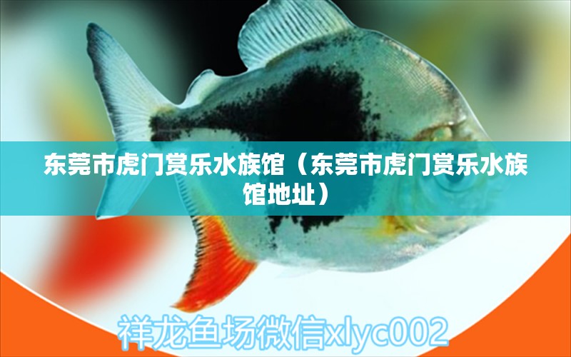 东莞市虎门赏乐水族馆（东莞市虎门赏乐水族馆地址）