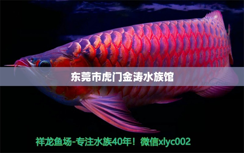 东莞市虎门金涛水族馆 全国水族馆企业名录