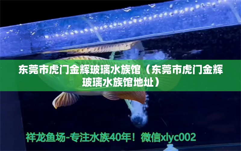 东莞市虎门金辉玻璃水族馆（东莞市虎门金辉玻璃水族馆地址）