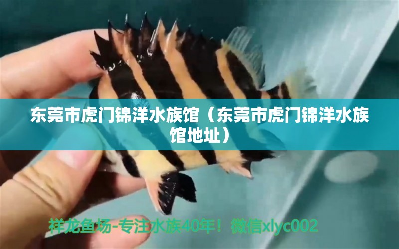 东莞市虎门锦洋水族馆（东莞市虎门锦洋水族馆地址） 全国水族馆企业名录