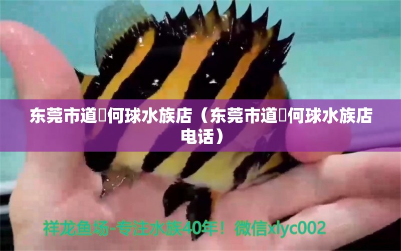 东莞市道滘何球水族店（东莞市道滘何球水族店电话） 全国水族馆企业名录