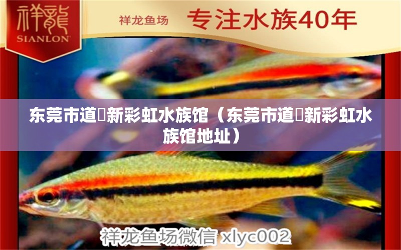 东莞市道滘新彩虹水族馆（东莞市道滘新彩虹水族馆地址） 全国水族馆企业名录