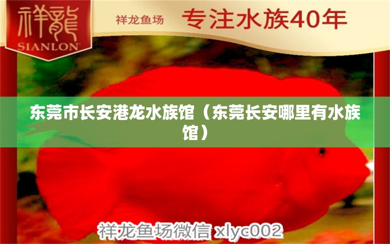 东莞市长安港龙水族馆（东莞长安哪里有水族馆） 全国水族馆企业名录