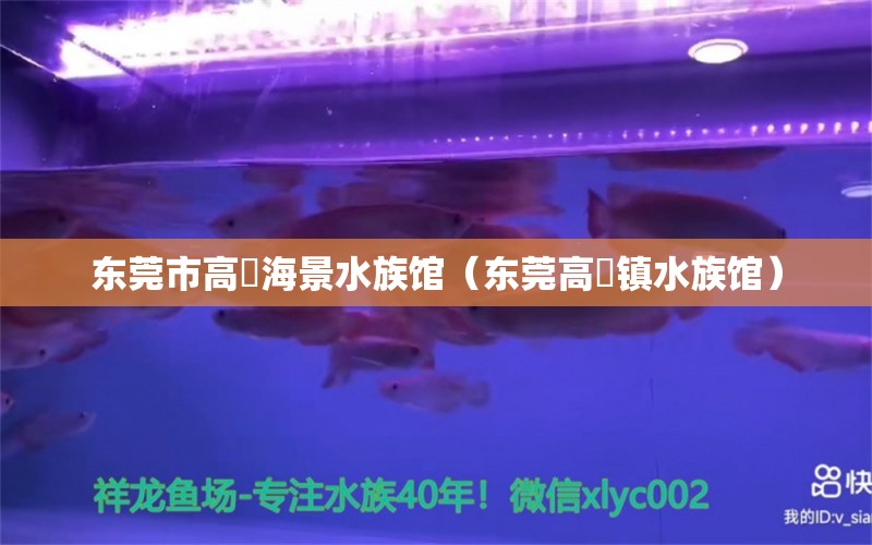 东莞市高埗海景水族馆（东莞高埗镇水族馆） 全国水族馆企业名录