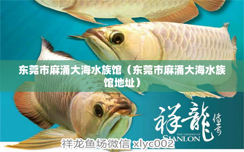 东莞市麻涌大海水族馆（东莞市麻涌大海水族馆地址） 全国水族馆企业名录